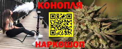 гидропоника Краснознаменск