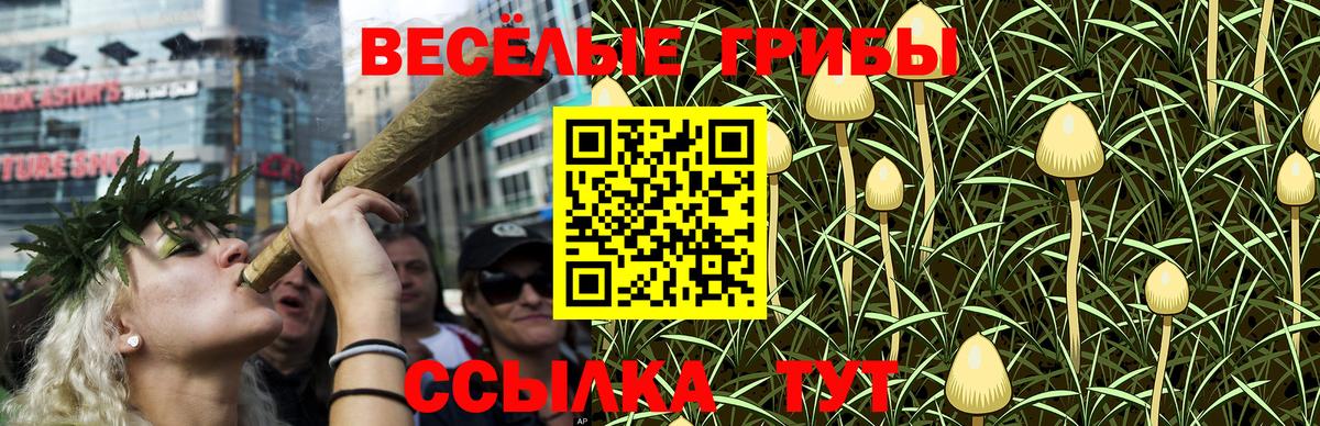 Галлюциногенные грибы GOLDEN TEACHER Ирбит