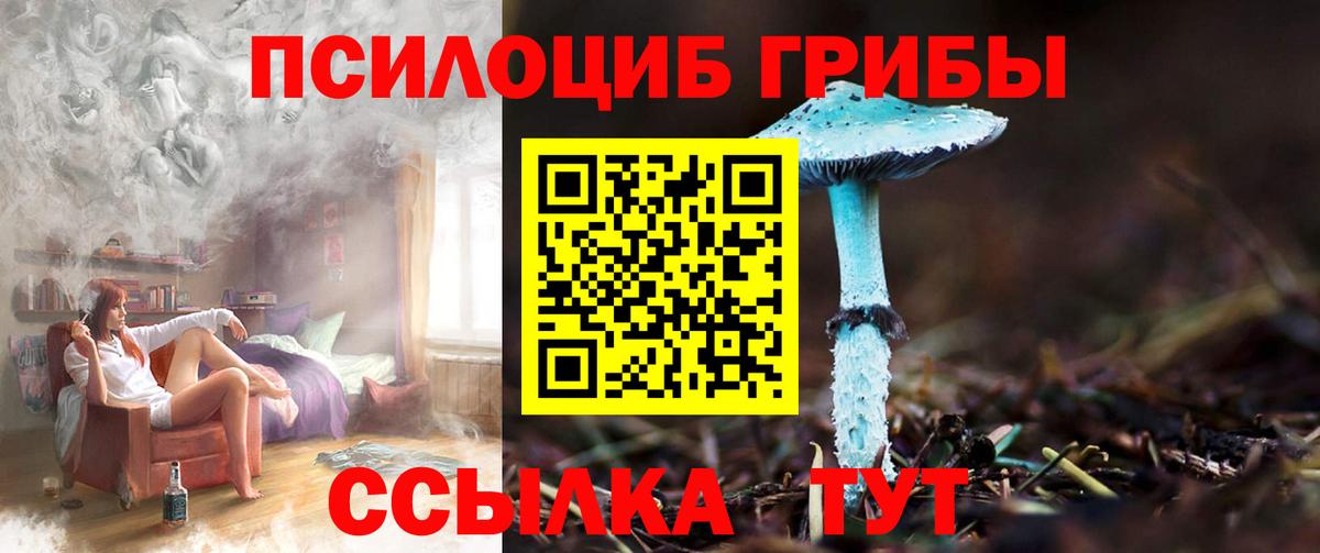 наркотики  Вход с VPN  Ирбит  Псилоцибиновые грибы Psilocybine cubensis 